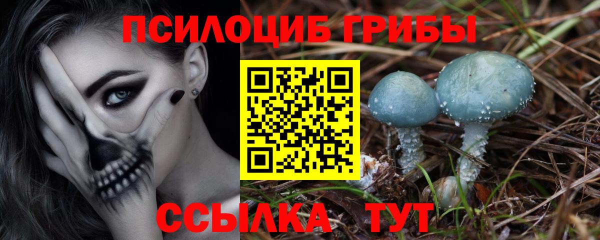 Псилоцибиновые грибы прущие грибы  Вход с VPN  Нерюнгри 